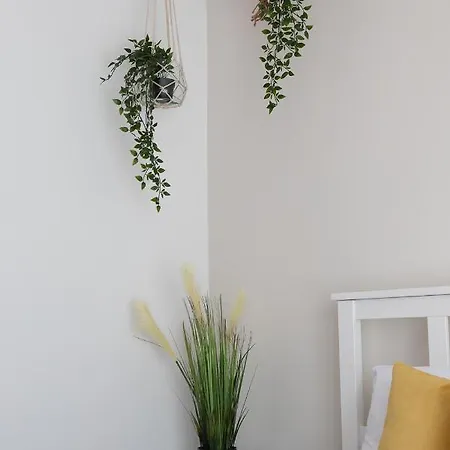 Amazing & Cozy Town House With Pool Hébergement de vacances